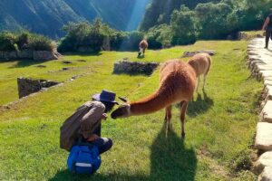 machu picchu 3 day hike