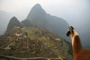machu picchu in january