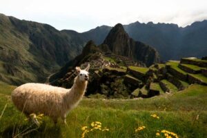 machu picchu in october