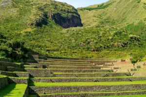 inca terrace farming