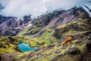 lares trek in january