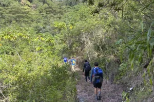 inca jungle trek in august