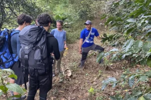 inca jungle trek in december