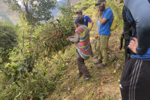 inca jungle trek in november