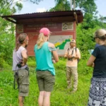 guacamayos tambopata