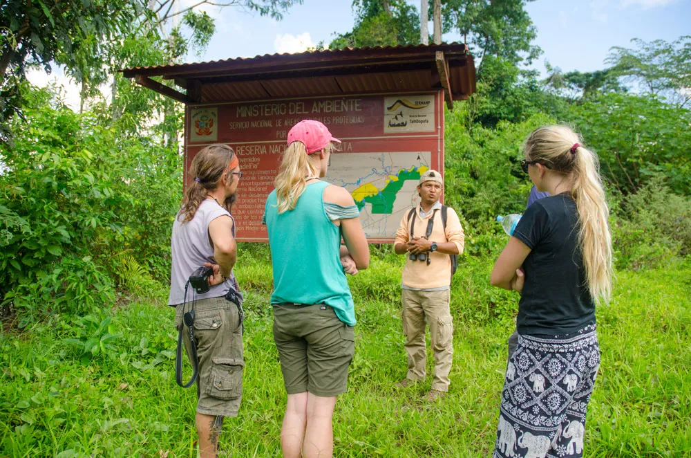 guacamayos tambopata