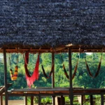 hamacas
