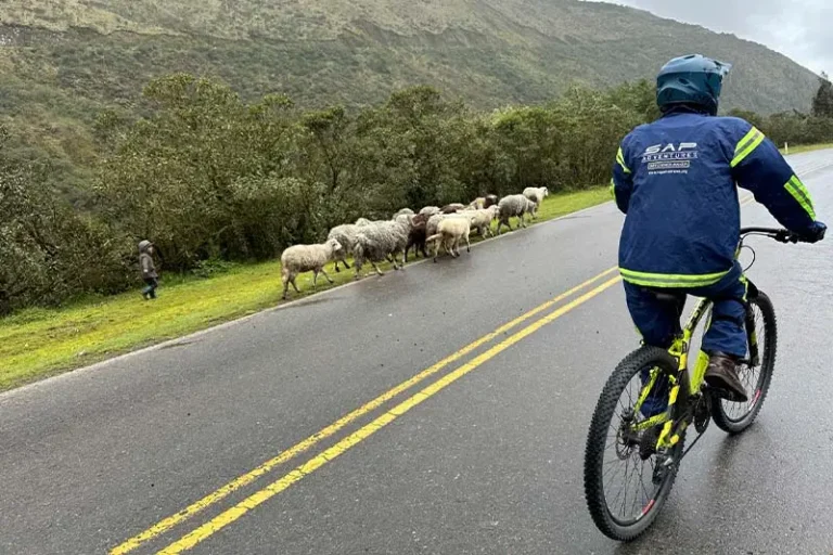 Bicycle Tour of the Inca Jungle Trek (4 days)