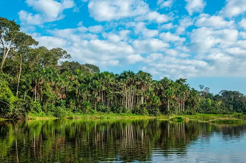Puerto Maldonado tour
